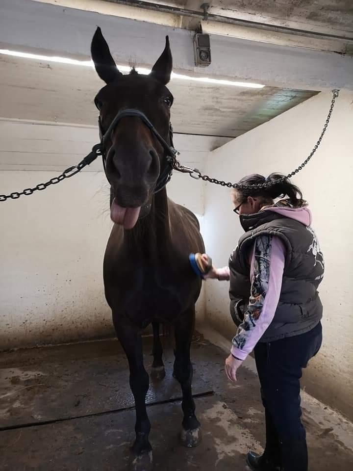 Oldenborg I Armani billede 14