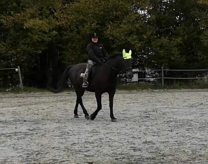 Oldenborg I Armani billede 8