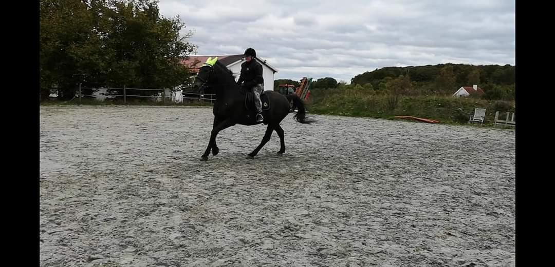 Oldenborg I Armani billede 9