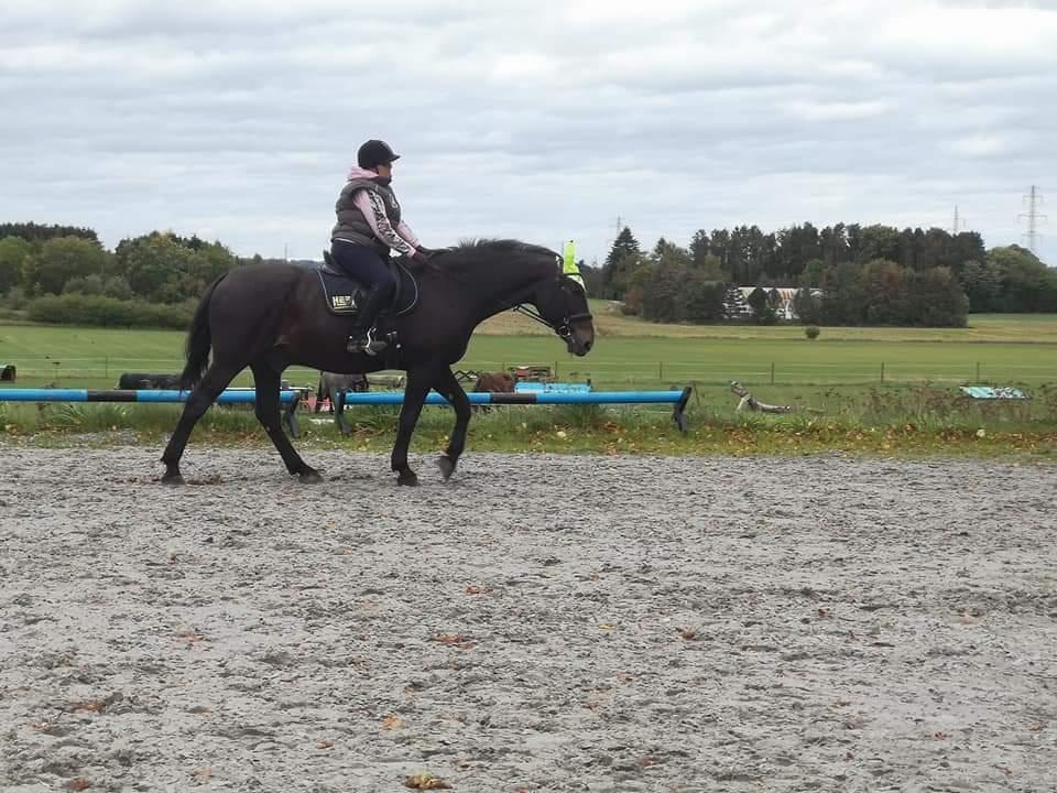 Oldenborg I Armani billede 12