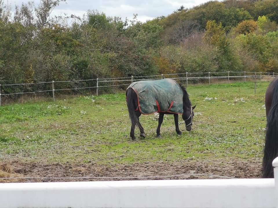 Oldenborg I Armani billede 10