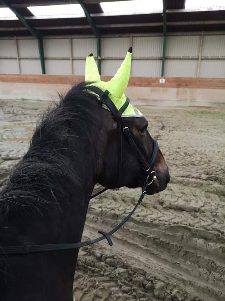 Oldenborg I Armani billede 18