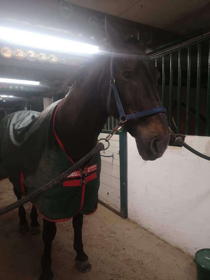 Oldenborg I Armani billede 4