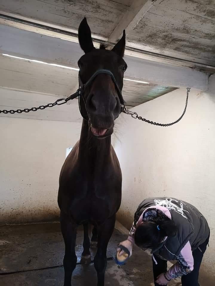 Oldenborg I Armani billede 15