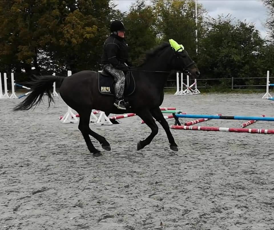 Oldenborg I Armani billede 7