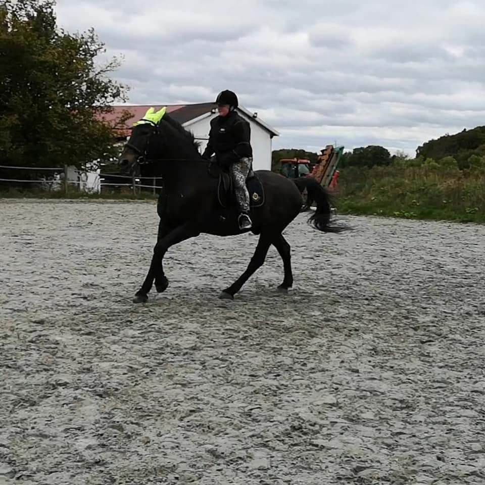 Oldenborg I Armani billede 6