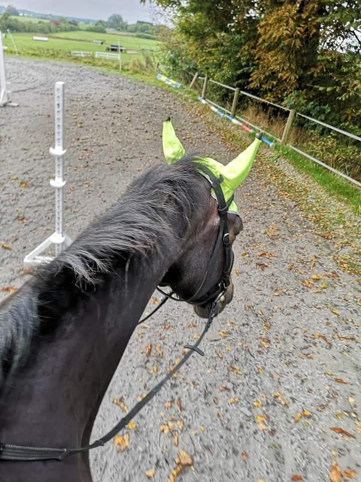 Oldenborg I Armani billede 17