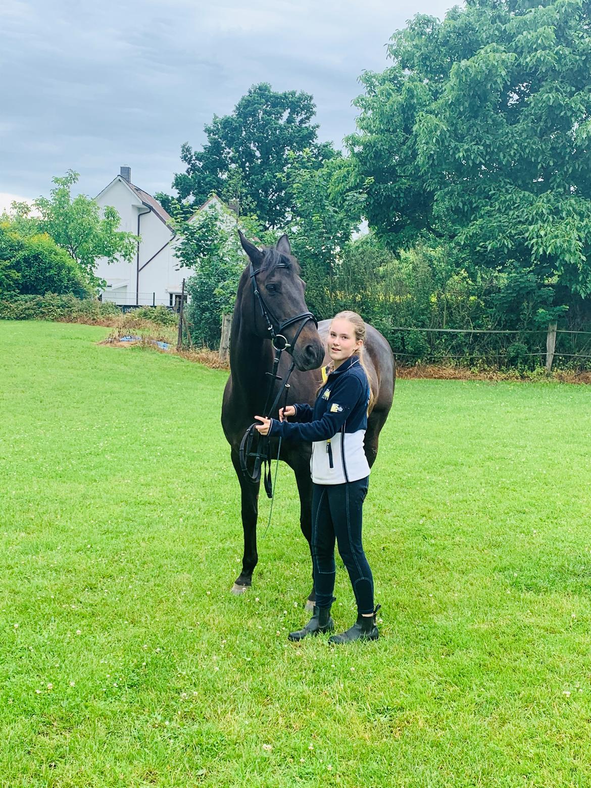 Holstener Iris von Harknag billede 6