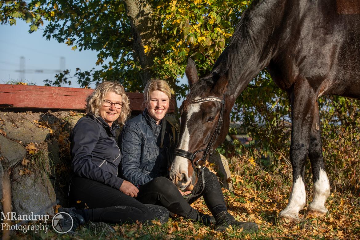 Hollandsk Varmblod Annika (himmelhest)  billede 13