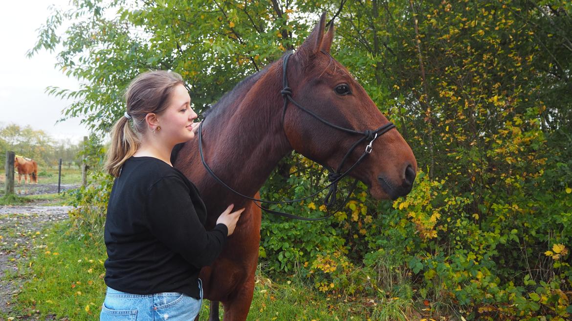 Anden særlig race Gniden (Tops) billede 2