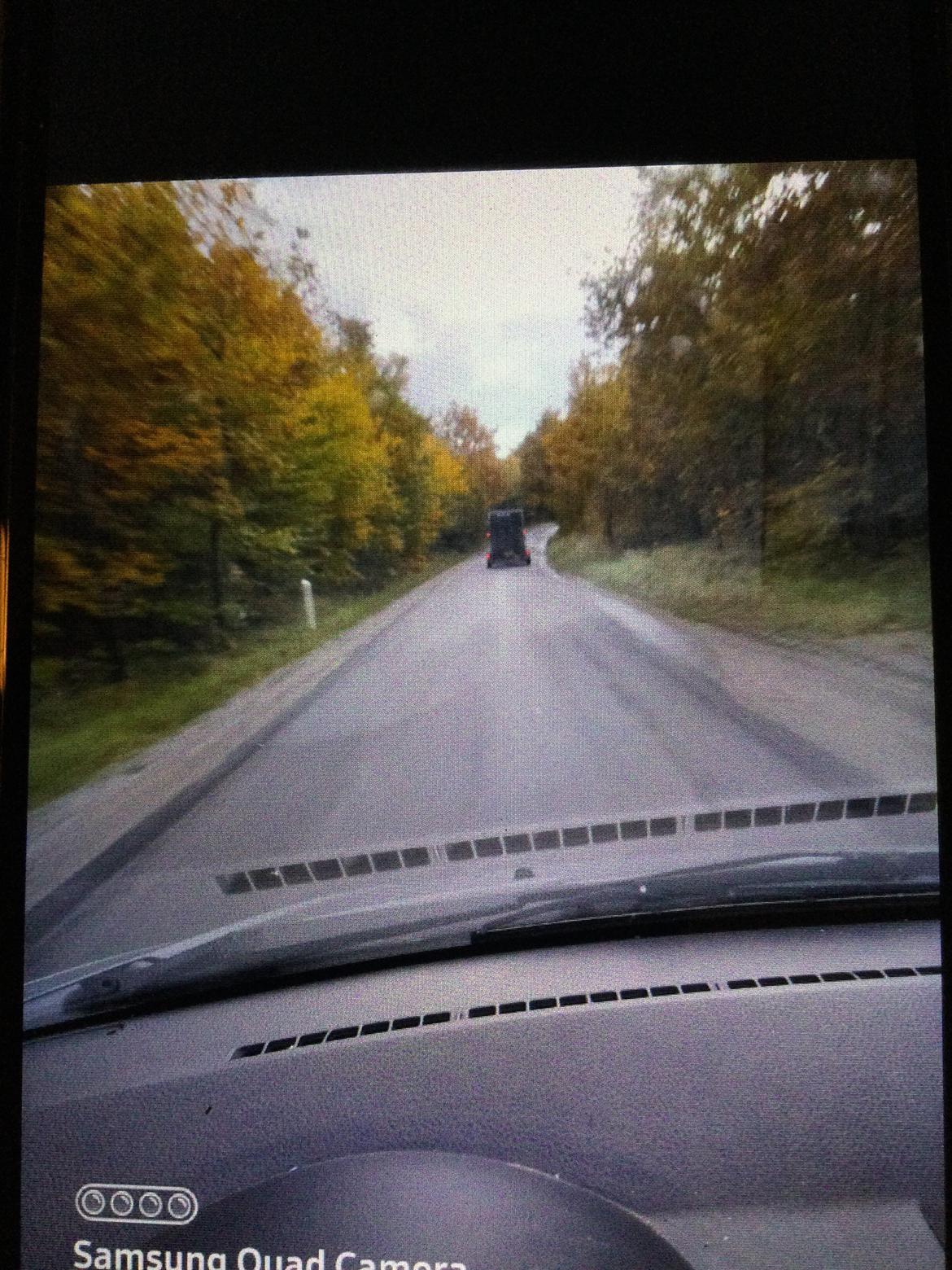 Irish Cob Sarina billede 9