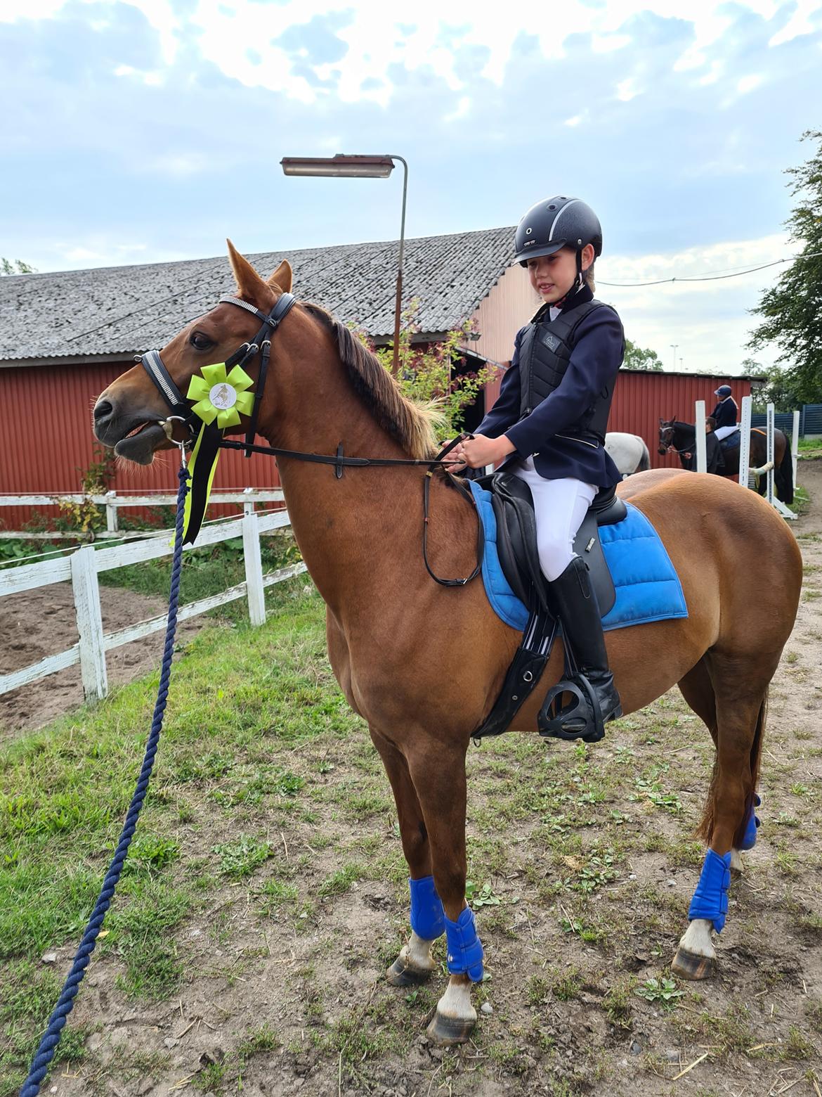 Tysk Sportspony Any billede 2