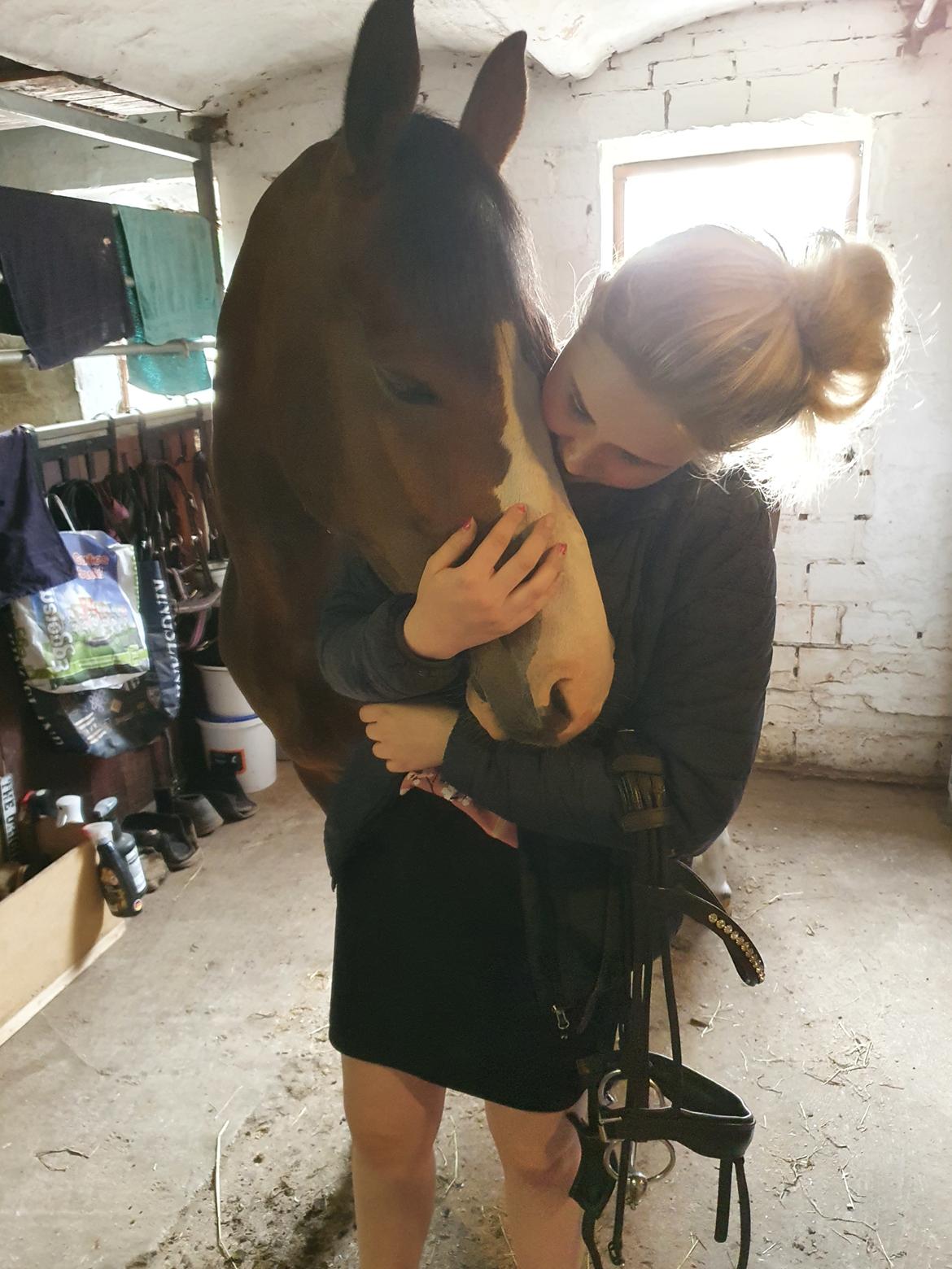 DSP Lykkehøjs Belle Ami  billede 3