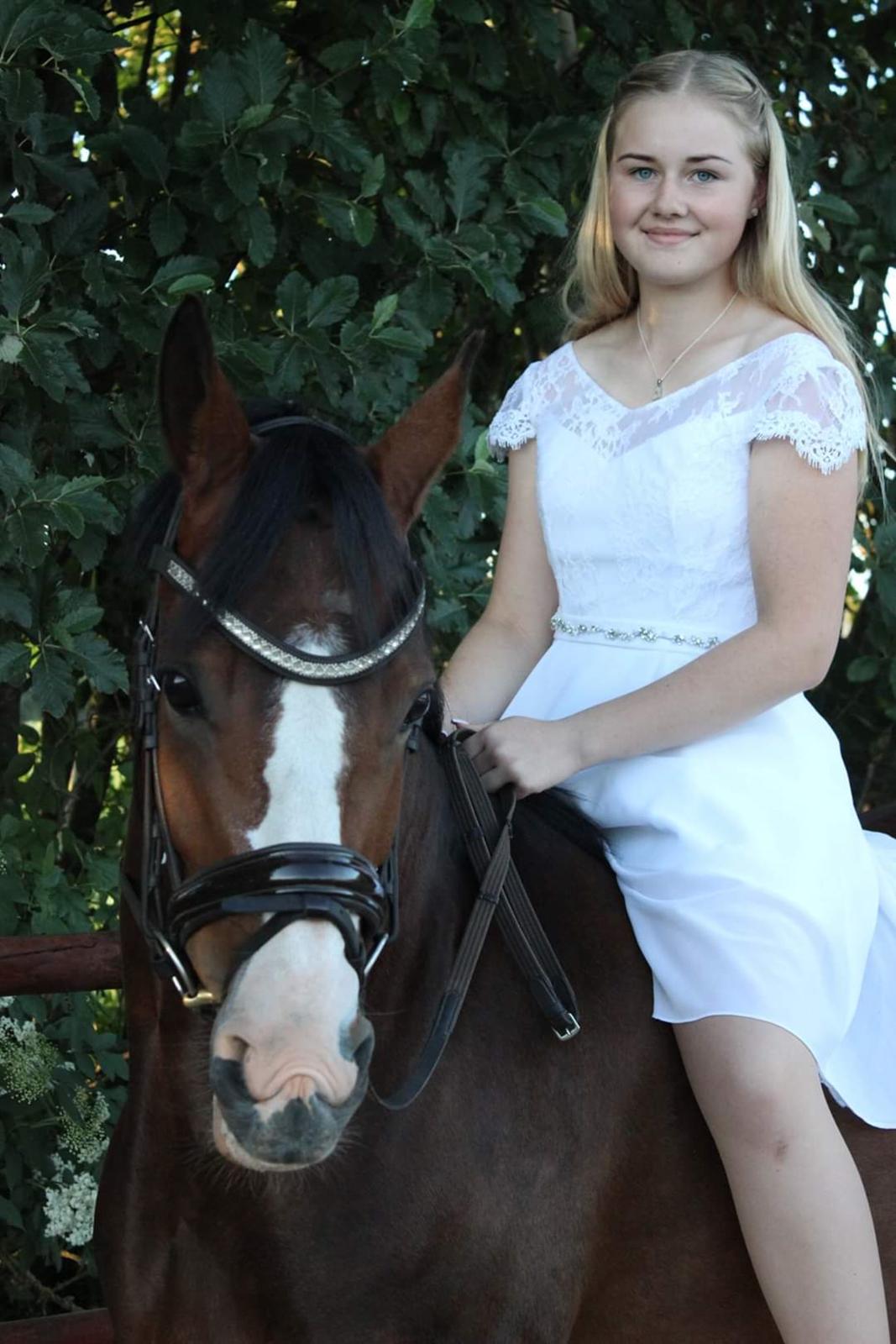 DSP Lykkehøjs Belle Ami  billede 4