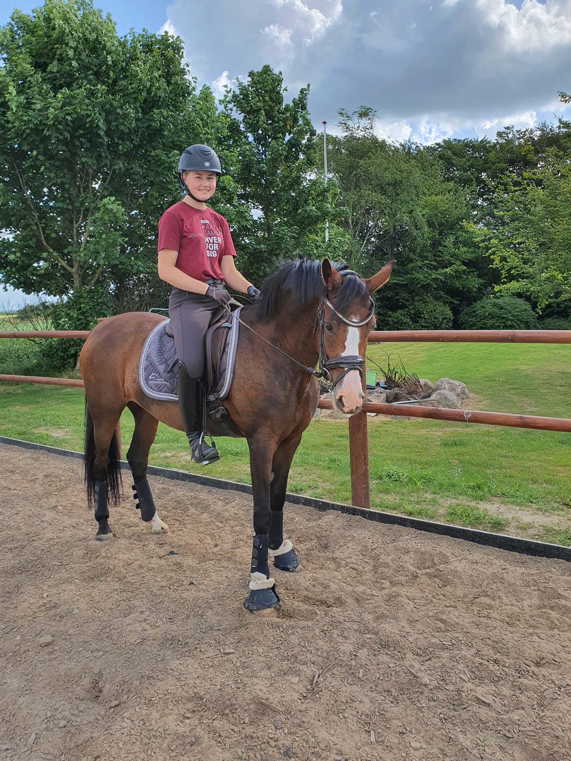 DSP Lykkehøjs Belle Ami  billede 5