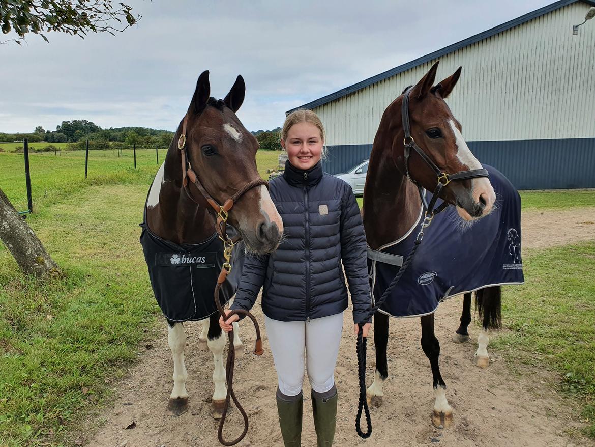 DSP Lykkehøjs Belle Ami  billede 10