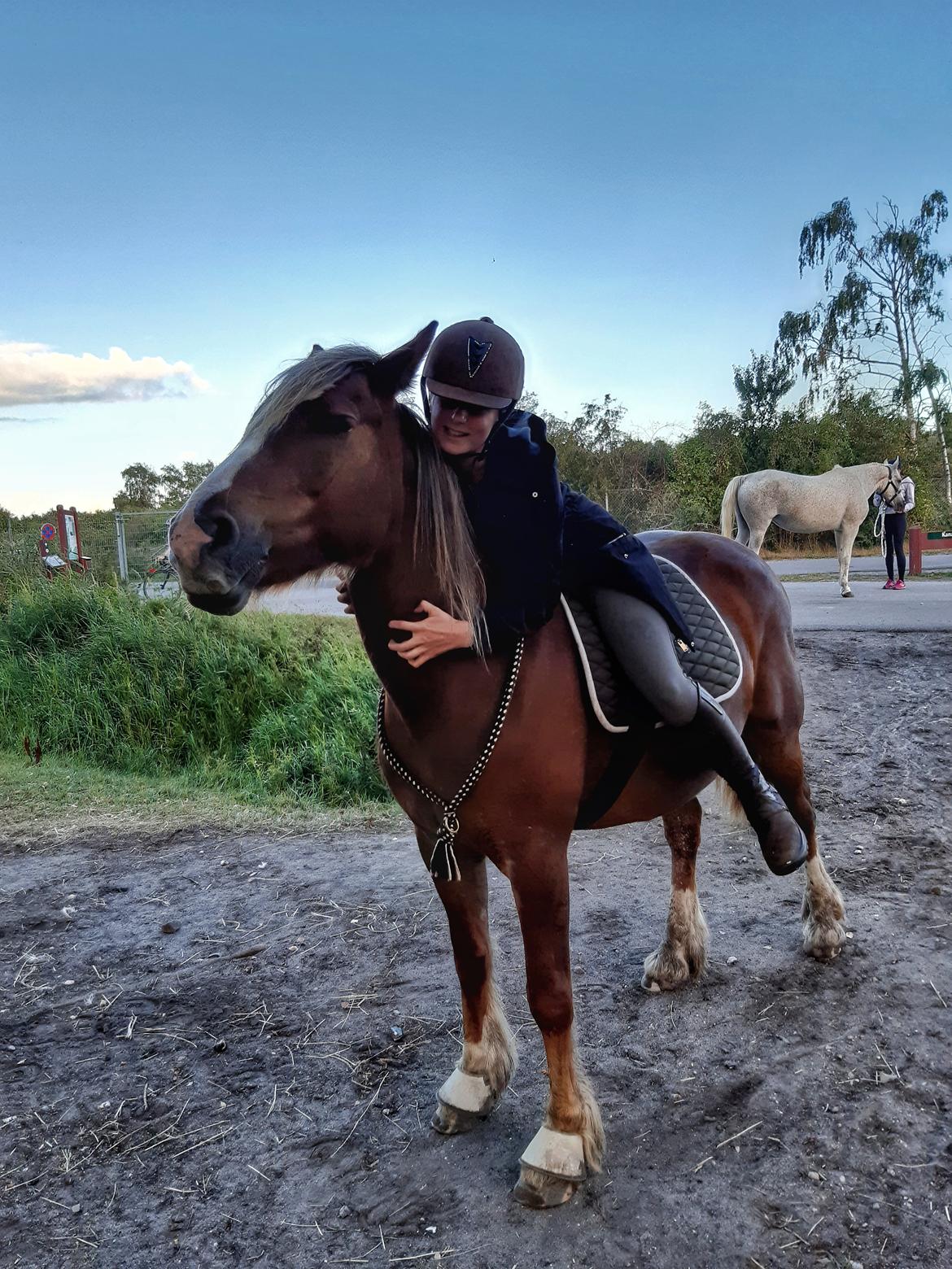 Anden særlig race Andy's Girl  billede 7