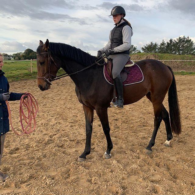 Dansk Varmblod Grace P - Min!! billede 8