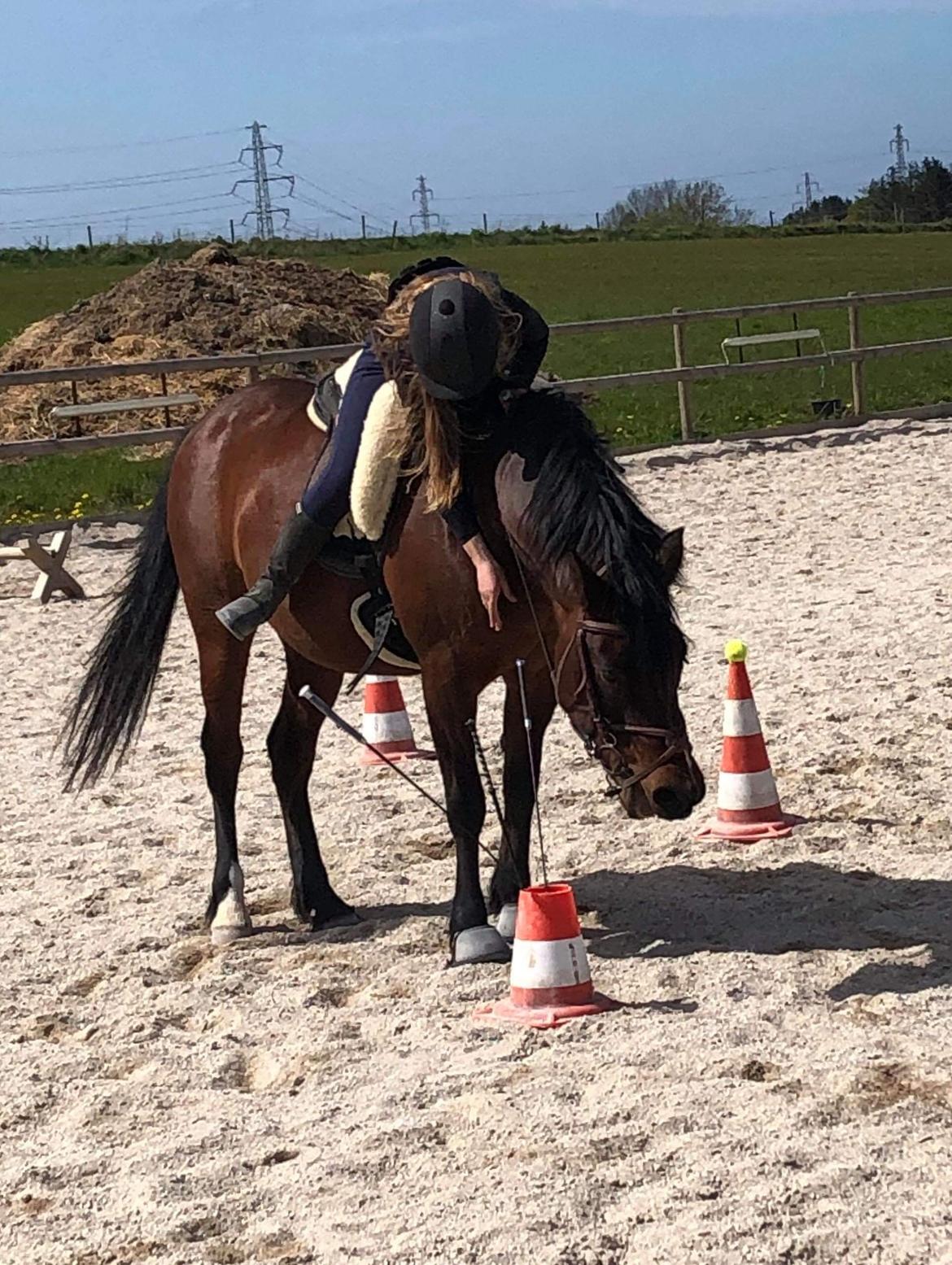 Anden særlig race Lucy Lou (Tidligere part)  - How can you be such a perfect horse! :-* billede 11