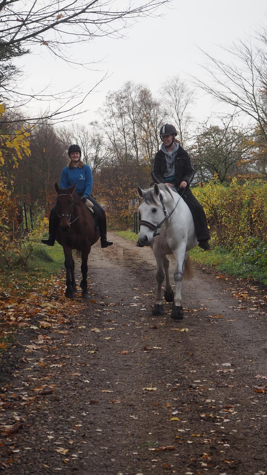 Anden særlig race Gniden (Tops) - på tur med emilie og cileen - 15-11 2020 billede 8