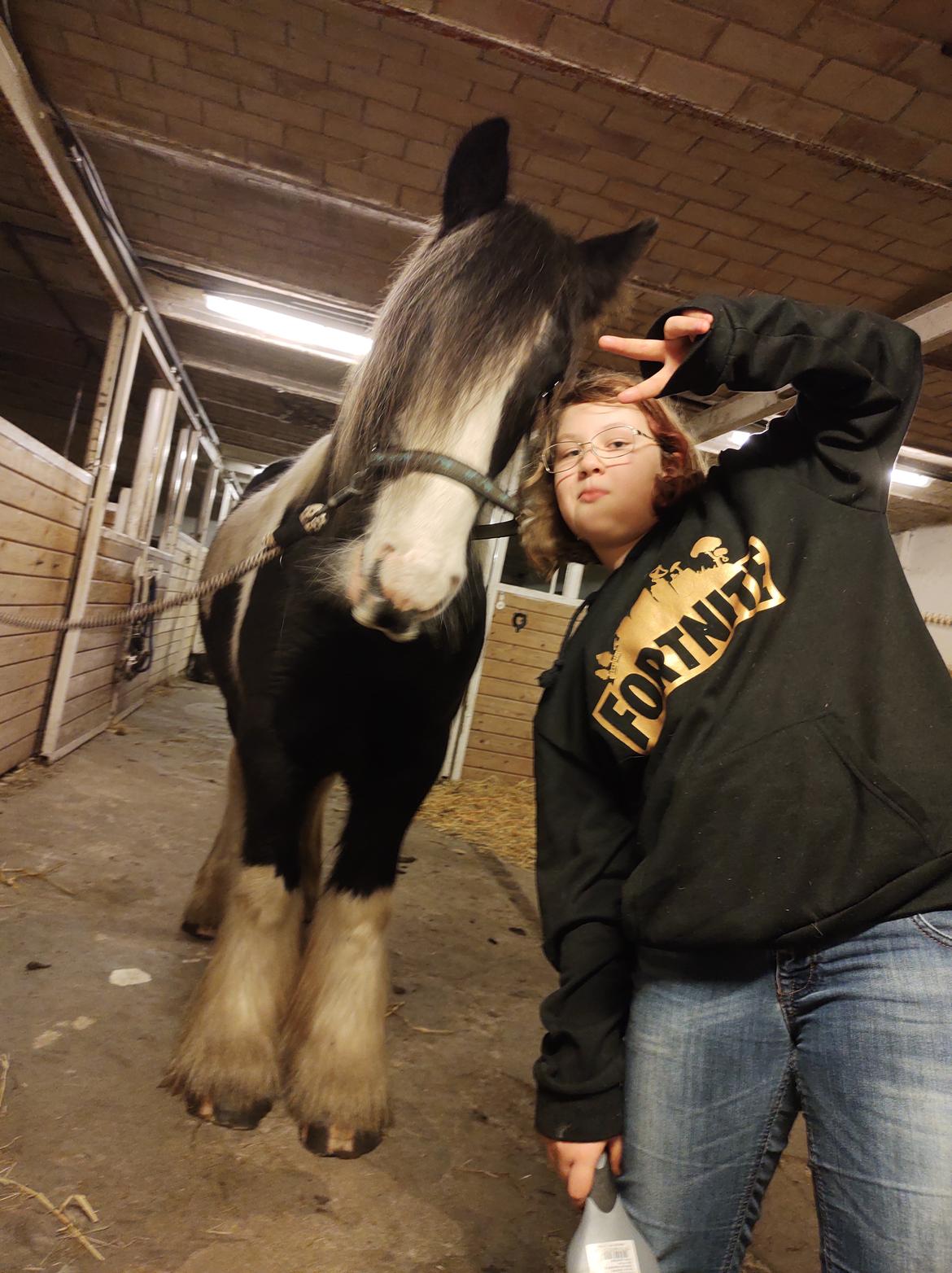 Tinker Bowie dust of battel billede 7