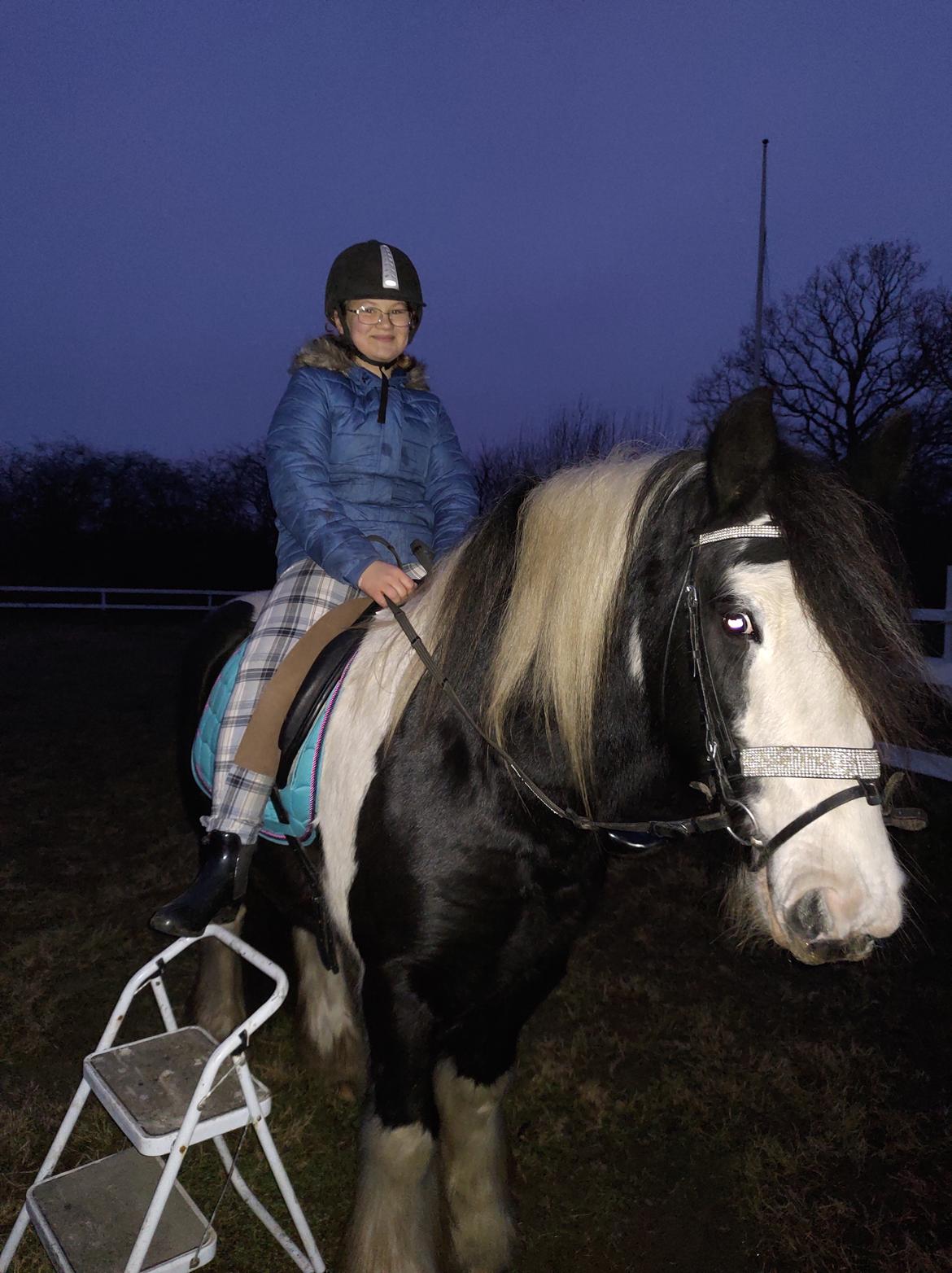 Tinker Bowie dust of battel billede 8