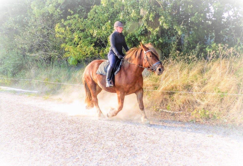 Jyde Laura billede 7