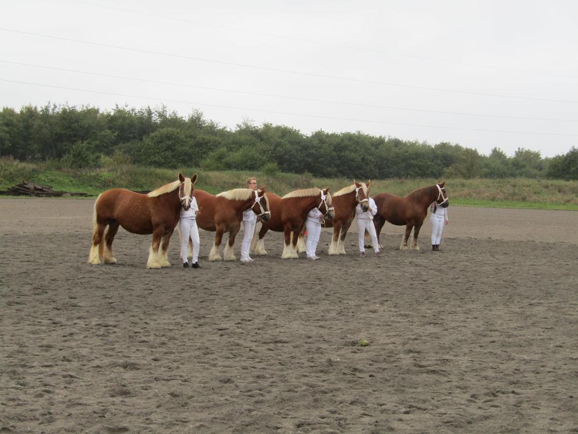 Jyde Laura billede 8