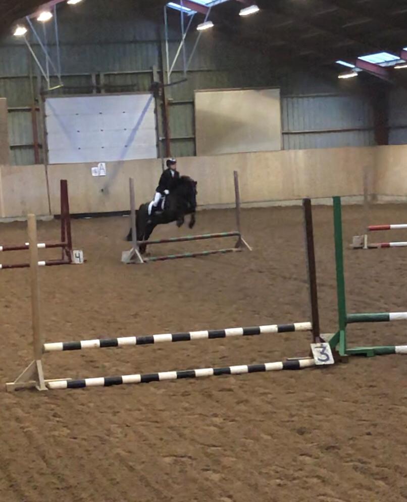 Anden særlig race Stalden's Noah billede 19