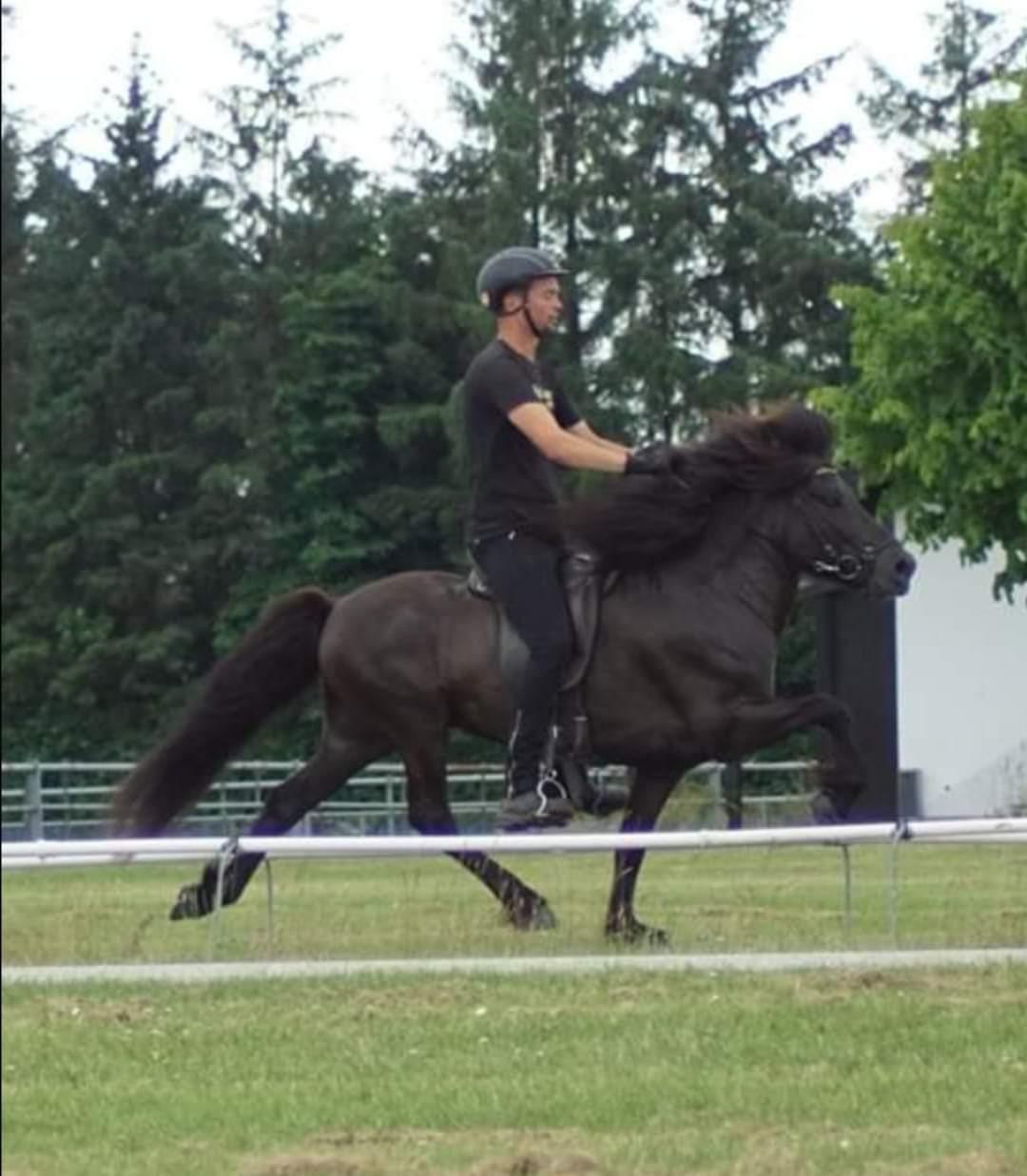 Islænder Njáll fra Gimli  billede 2