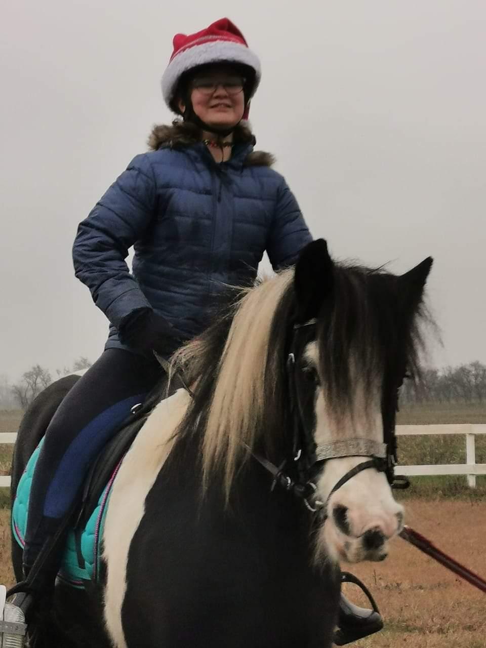 Tinker Bowie dust of battel billede 11