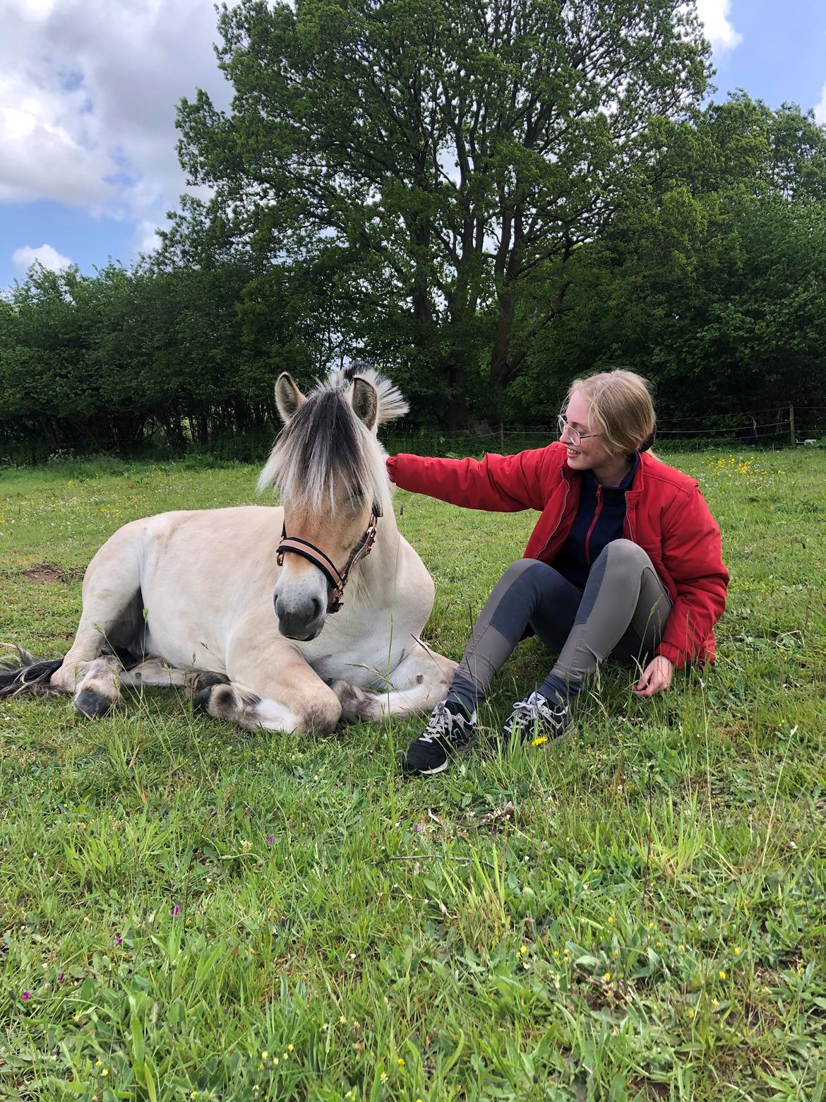 Fjordhest Celina l billede 1