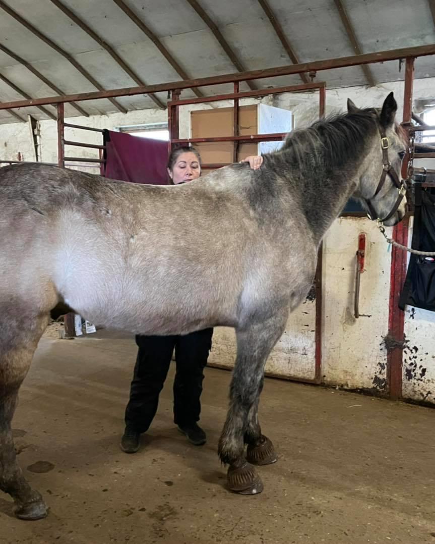 Connemara Rocket Sky billede 2