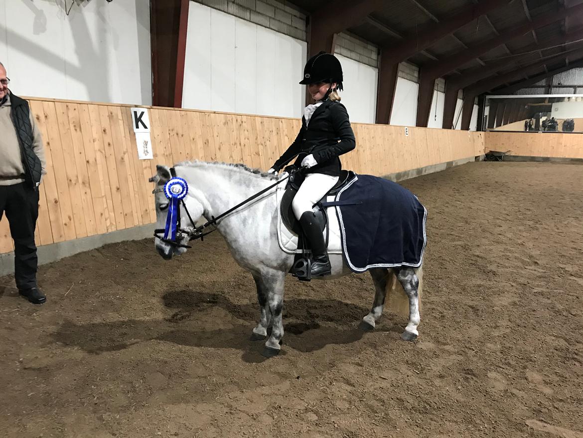 Anden særlig race Høgfeldt's Rapunsel<3 billede 18