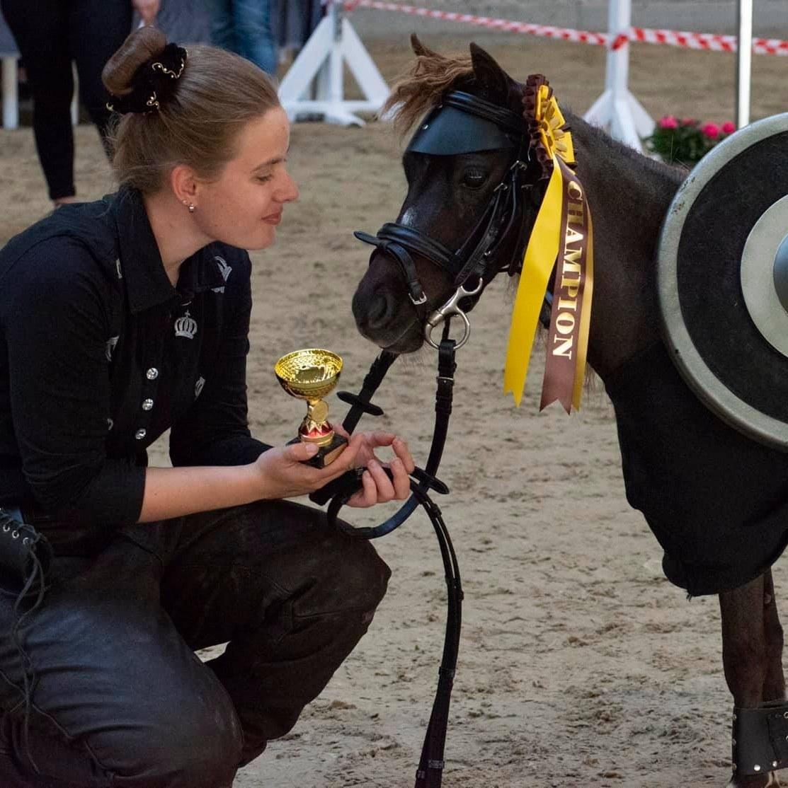 Amerikansk Miniature Teglmosens Delilah West billede 19