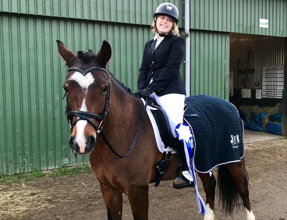 Connemara Dalshøj Horton billede 1