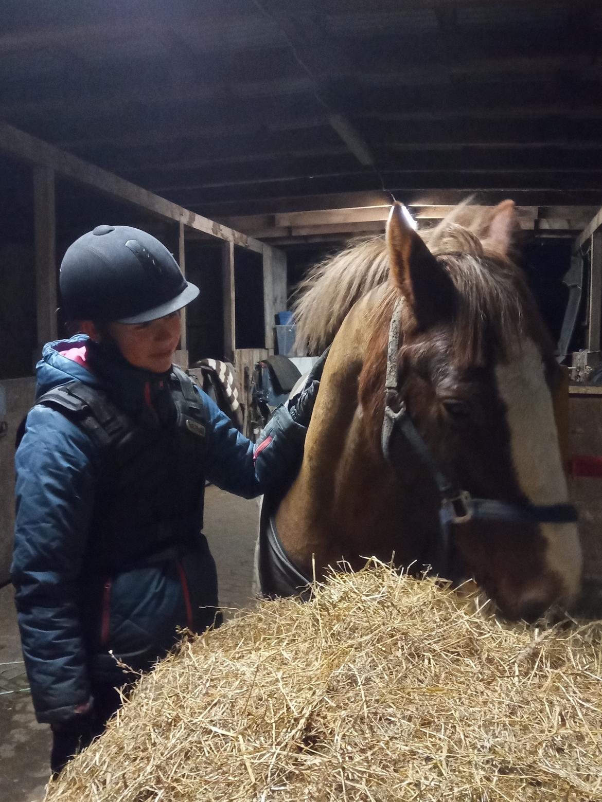 Anden særlig race Clogheen Bob (Tidligere pony) - Velkommen til profilen 🥰 Det her er et billede fra 29/11/2020 hvor jeg for første gang var ude og se Bob 😍 billede 1