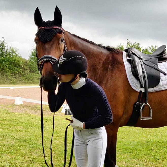 Dansk Varmblod Gørklintgårds Flash billede 16