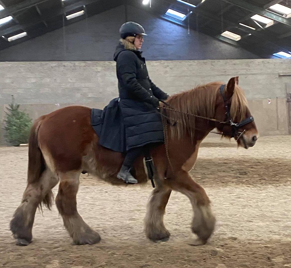Jyde Rosenhavens Kasper billede 5