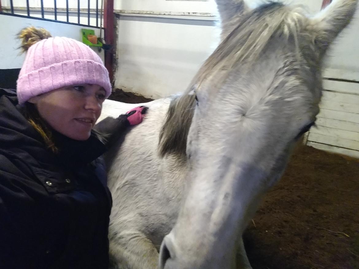 Arabisk fuldblod (OX) Sharifa Bint Jeska <3 *SOLGT* billede 6