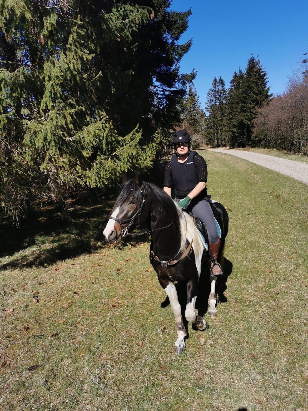 Barockpinto Honorous Jorg Ancrath billede 20