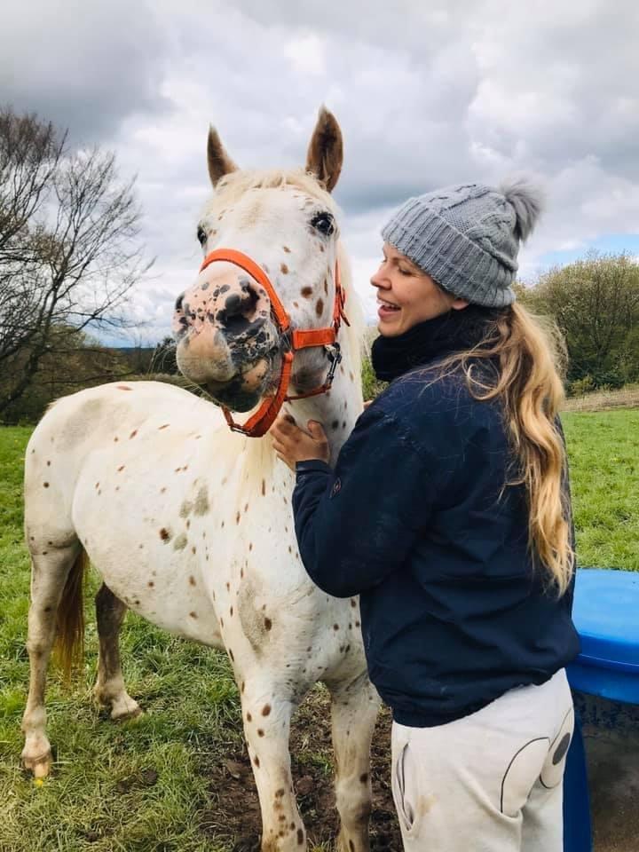 Knabstrupper Rughavens Salina billede 10