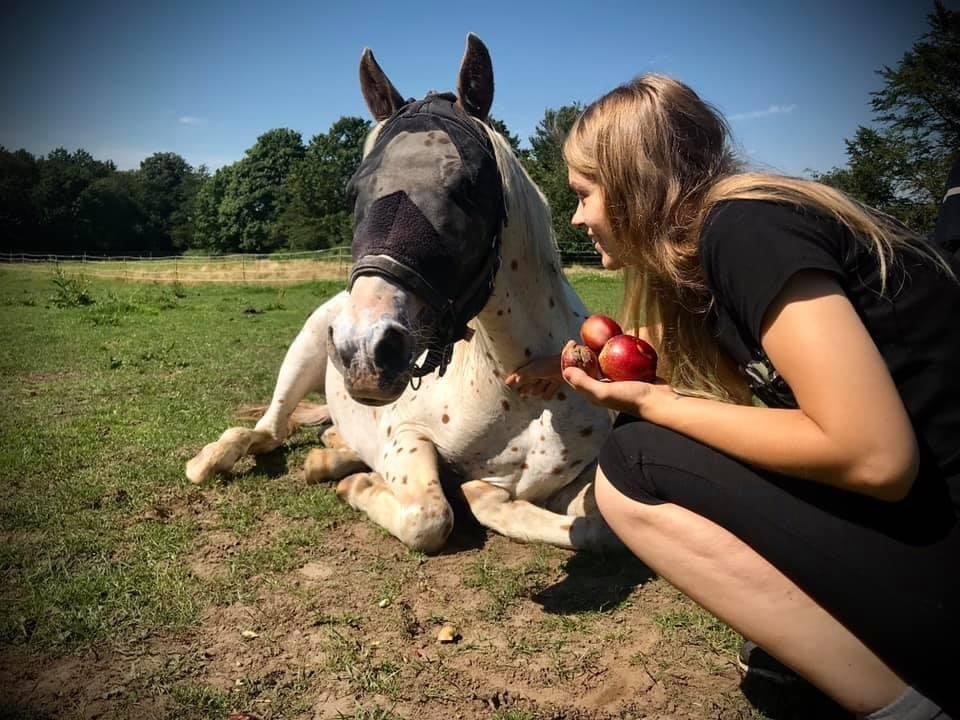 Knabstrupper Rughavens Salina billede 14