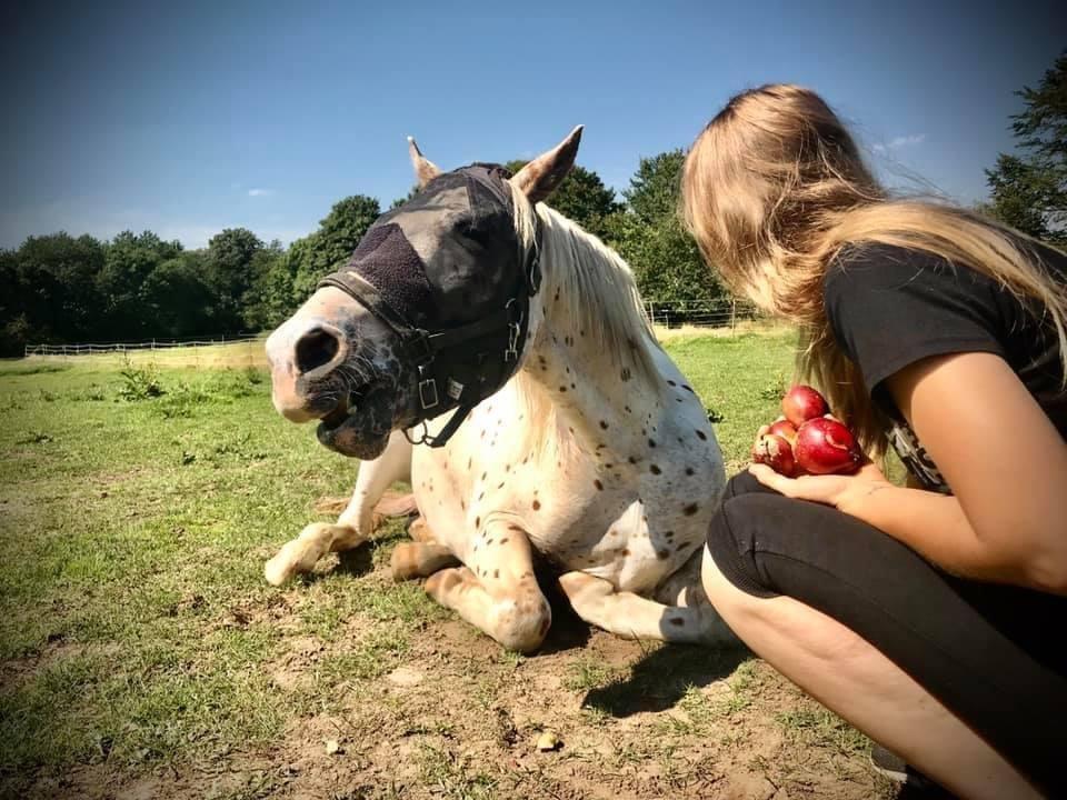 Knabstrupper Rughavens Salina billede 13