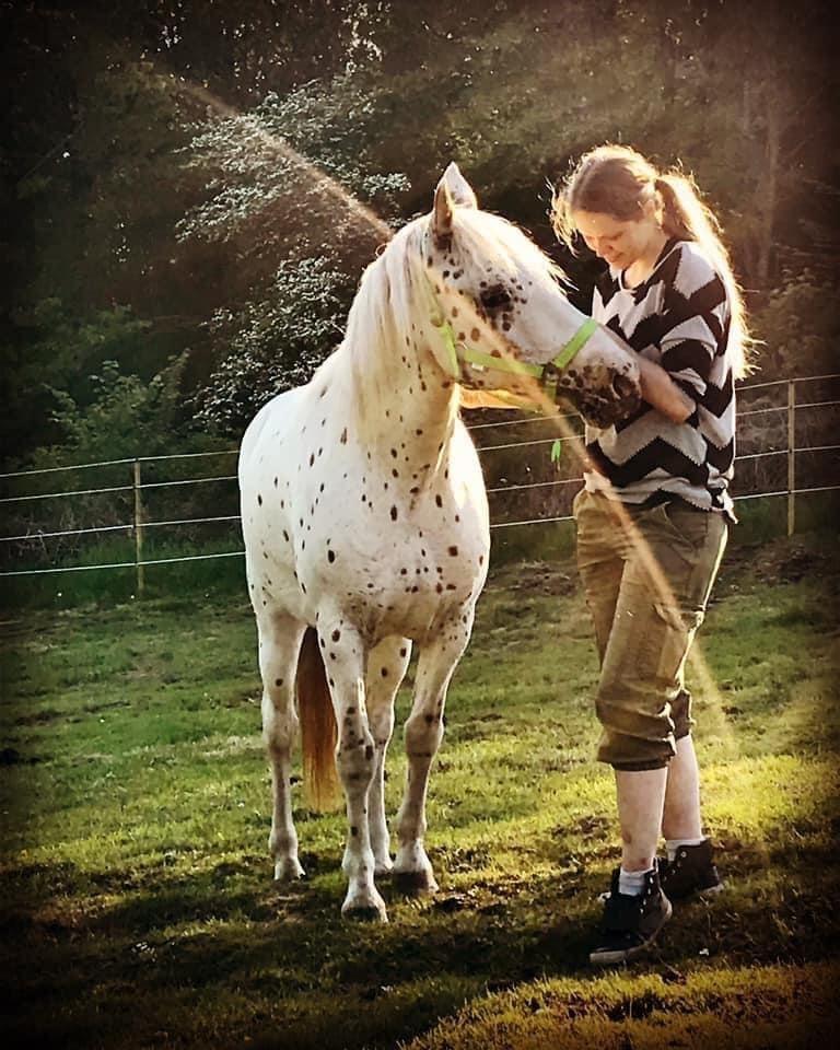 Knabstrupper Rughavens Salina billede 20