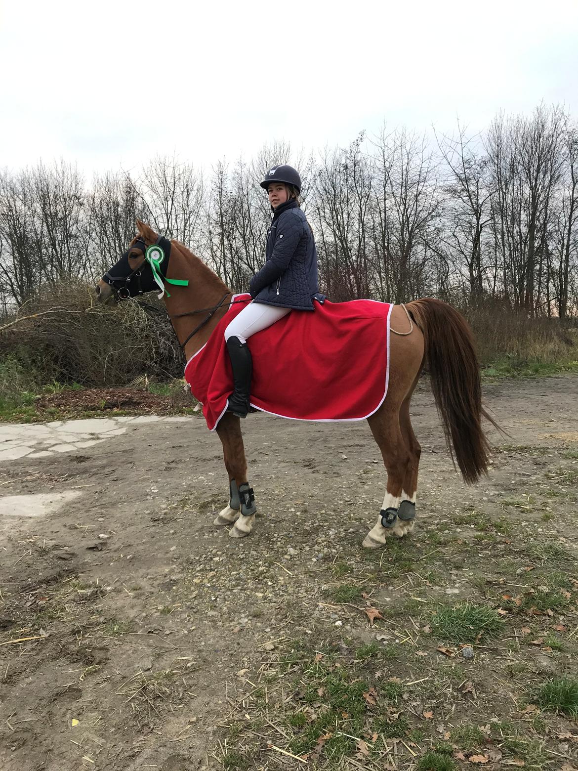 DSP Thorslunds Golden Empire - Stævnet på Lundby Efterskole.  billede 7