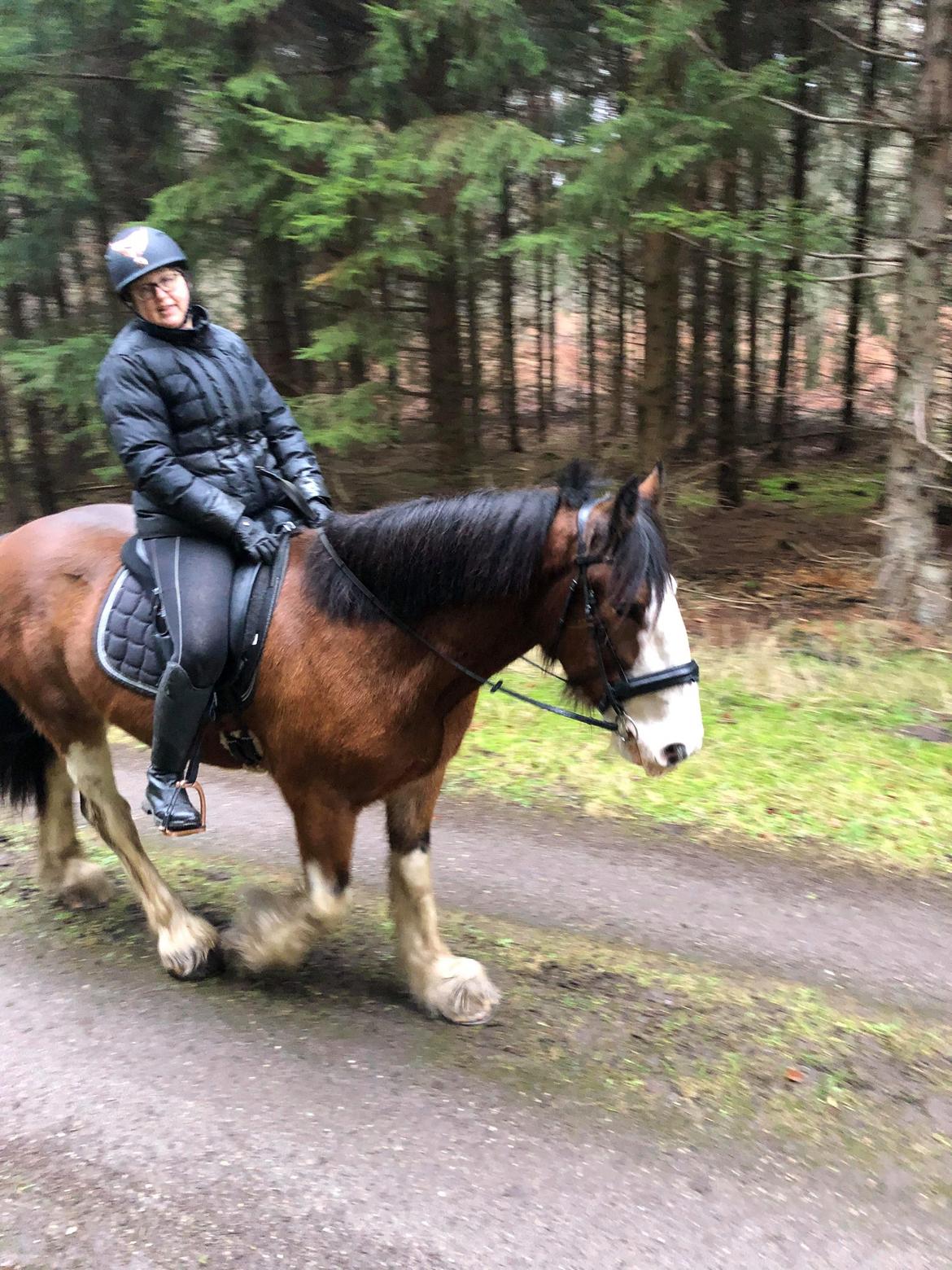 Clydesdale Freddie RIP:-( billede 4