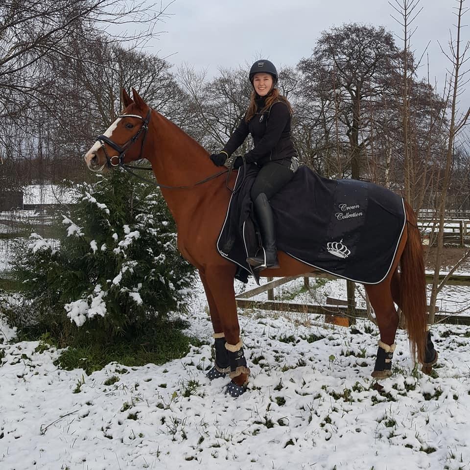 Dansk Varmblod Wiesla billede 2