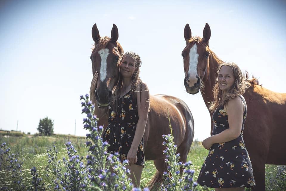 Dansk Varmblod Wiesla billede 12