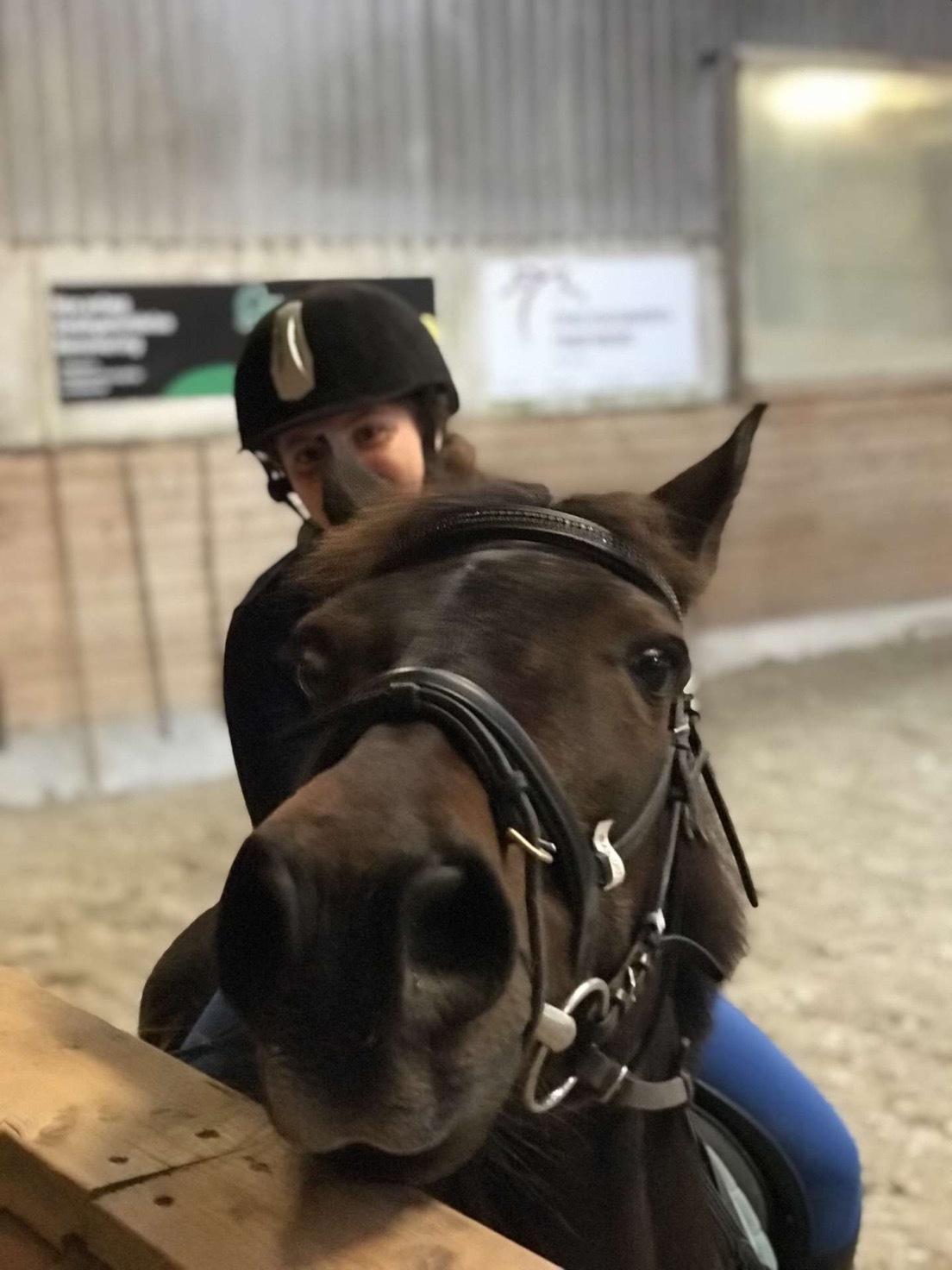 DSP Bandit billede 8